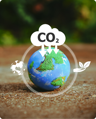 Carbon Footprint and Emissions Accounting