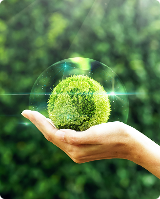 Nature-Based Carbon Assessment