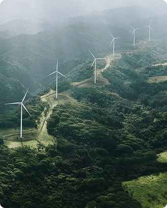 Carbon Project Pre-Feasibility and Feasibility Studies