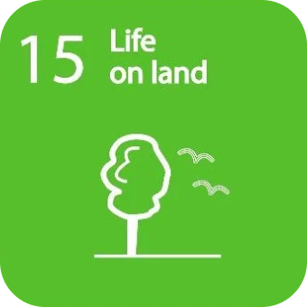 Life on land