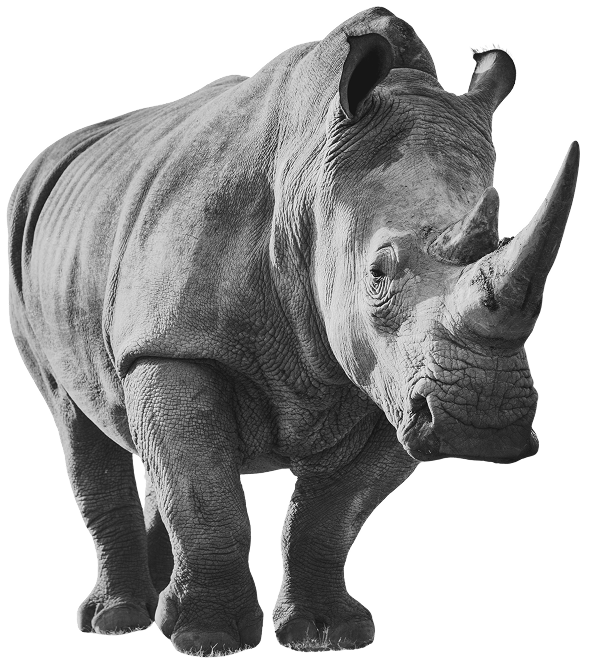 Precision Monitoring and Verification