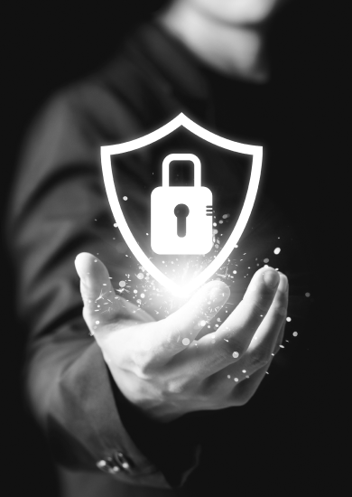 High-Integrity Verification and Secured Assets
